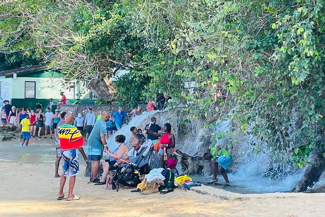 Private Dunn’s River Falls Experience + Blue Hole Secret falls - Montego Bay to Ocho Rios: where the private ride pays off