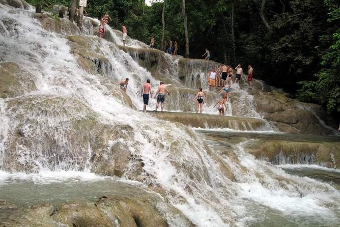 [PRIVATE] Dunn's River Falls with Entrance Fees - Entering the Park and Starting the Climb: What Happens Once You Arrive