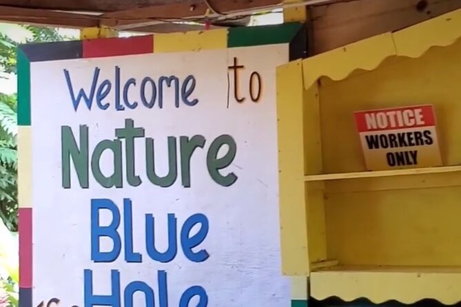 Private Dunns River Falls and Blue Hole from Montego Bay Tour - Blue Hole: Swings, Waterfalls, and Having Guides at the Right Moment