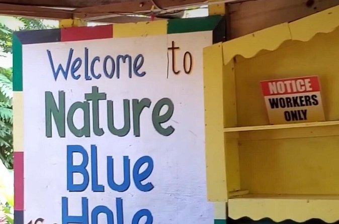 Private Dunns River Falls and Blue Hole from Montego Bay Tour - Timing and What to Bring for an 8-Hour Combo