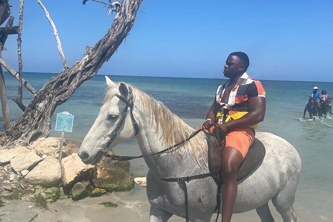 Private Dunns River Falls and Horse Back Riding - Key highlights you’ll care about
