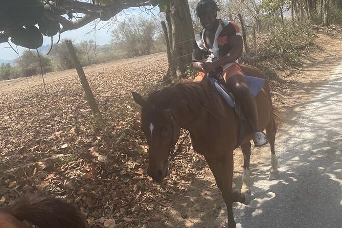 Private Dunns River Falls and Horse Back Riding - Dunns River Falls and horseback: the value of doing both in one half-day