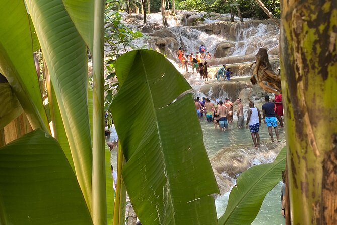 Private Dunns River Falls and Horse Back Riding - Price and value: what $110 buys you (and what you still need)