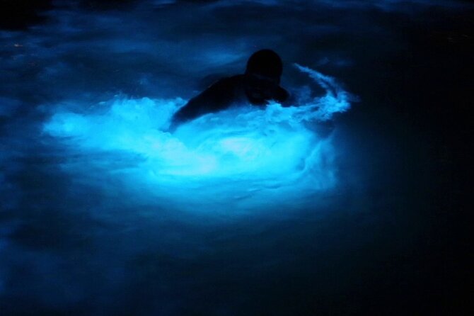 Private Guided Night Tour of Luminous Lagoon in Montego Bay - Key Points You’ll Care About Before You Go