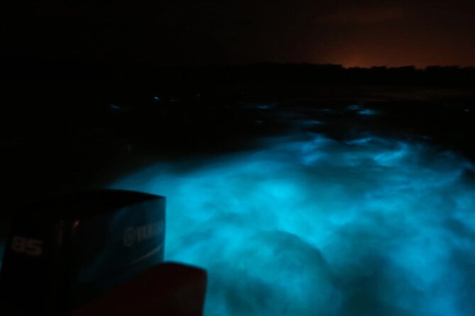 Private Guided Night Tour of Luminous Lagoon in Montego Bay - The 45-Minute Boat Ride: Swimming Optional, Photos Included, Glow Guaranteed