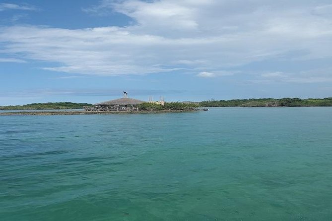Private Half Moon Beach Tour from Montego Bay - Value check: is $115 per person a good deal?