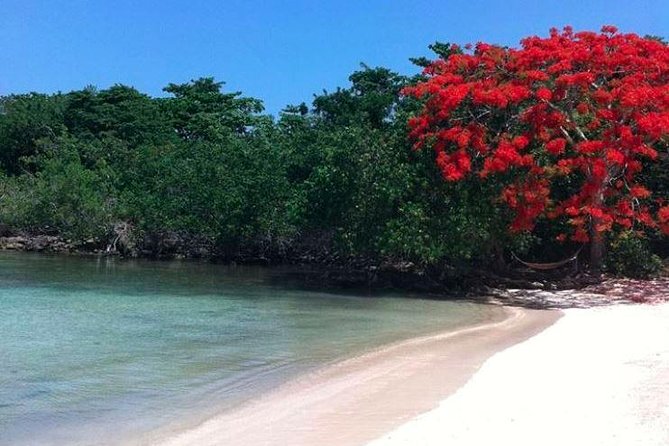 Private Half Moon Beach Tour from Montego Bay - Calico Jack’s Private Island: island dining and that small-island feeling
