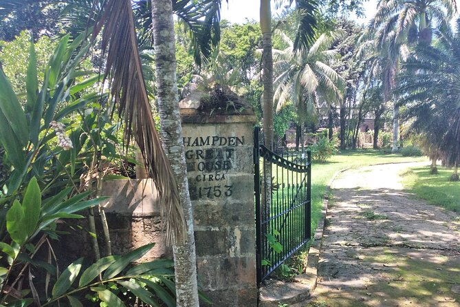Private Hampden Estate Rum Tour from Montego Bay or Falmouth - Who should book this Hampden Estate rum tour?