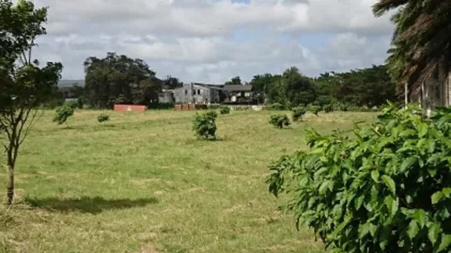 Private Hampden Estate Rum Trip from Montego Bay - Why Hampden Estate from Montego Bay feels worth the trip