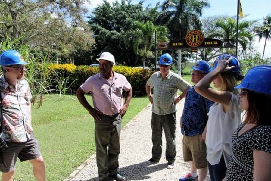 Private Hampden Estate Rum Trip from Montego Bay - The 5-hour schedule: how the day typically works
