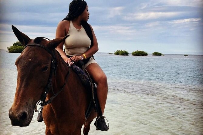 Private Horse Back Riding with ATV Combo. - Getting Picked Up in Montego Bay (and Staying Comfortable in Transit)