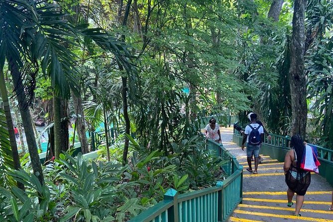 Private Horseback Riding, Swimming and Dunn's River Falls Tour - Why this combo works: Dunn’s River plus ocean riding