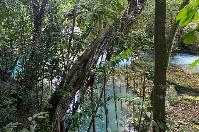 Private Horseback Riding with Blue Hole River Tour in Montego Bay - Getting From Montego Bay: The Real Time Budget
