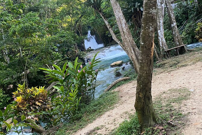 Private Horseback Riding with Blue Hole River Tour in Montego Bay - Price and Value: What $80 Buys You