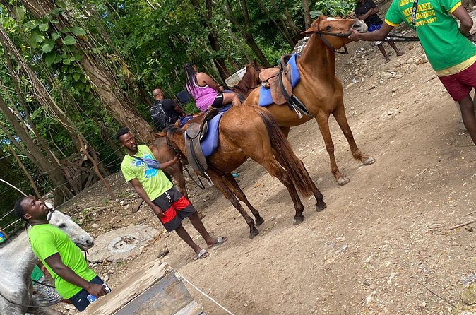 Private Horseback Riding with Blue Hole River Tour in Montego Bay - What to Bring (and What Not to Worry About)