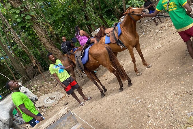 Private Horseback Riding with Blue Hole River Tour in Montego Bay - Who This Tour Fits Best