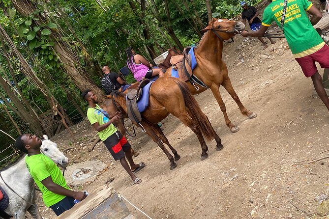 Private Horseback Riding with Blue Hole River Tour in Montego Bay - Discover Bay Horseback Riding: Beach Time and Bird Encounters