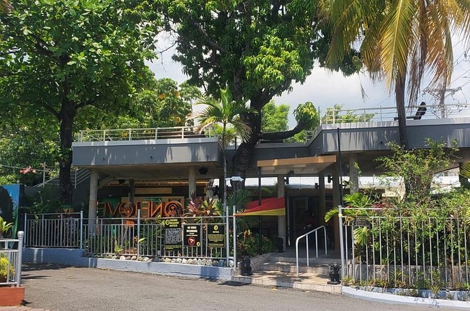 Private Kingston and Bob Marley Museum Tour from Falmouth - What to Bring: Simple Stuff That Makes Kingston Easier