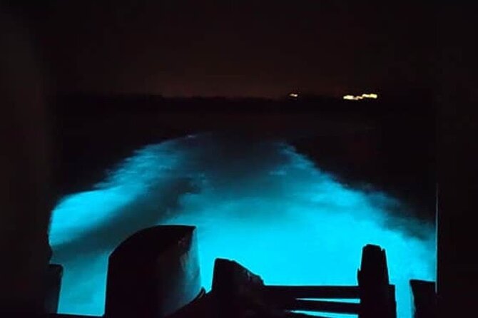 Private Luminous Blue Lagoon Night Tour in Falmouth - A night boat on the Luminous Lagoon (and why it feels different)