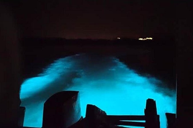 Private Luminous Blue Lagoon Night Tour in Falmouth - Timing and pacing: the 1 hour 30 minutes reality check