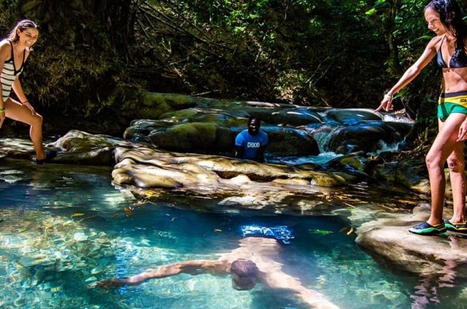 Private Mayfield Falls Waterfalls Tour [ Transportation ] - Mineral Springs at the Same Stop: A Useful Bonus