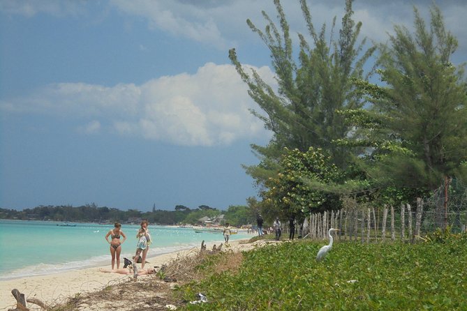 Private Montego Bay Airport Transfer to Negril - Optional Stops That Turn a Transfer Into a Soft Landing