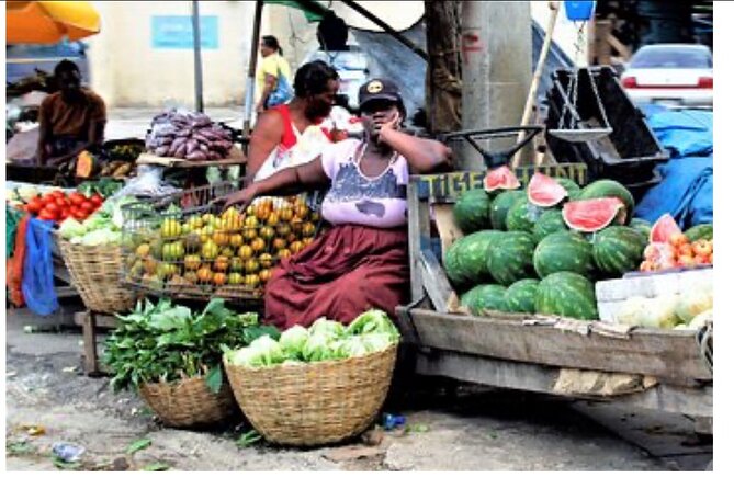 Private Montego Bay City Tour with Sightseeing and Shopping - How to Plan Your Day Around This 2-Hour Schedule