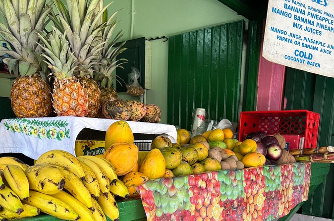 Private Montego Bay Customized Tour with Pickup and Guide - Nickoy and Goodlifetours: what the best guides do differently