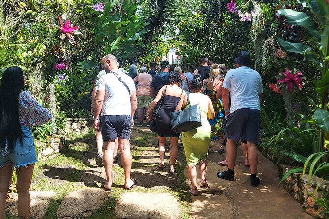 Private Nine Mile Tour from Montego Bay - Walking Through Nine Mile With a Guide (So You Don’t Miss the Point)