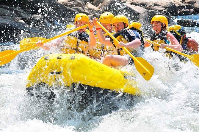 Private Rio Bueno River Adventure from Montego Bay - Key Points at a Glance