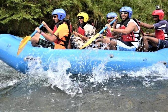 Private Rio Bueno River Adventure from Montego Bay - Price and Value: The One Detail That Can Surprise You