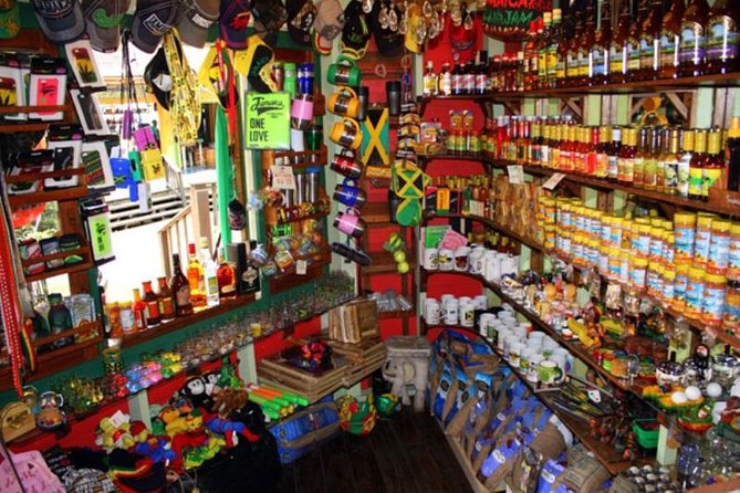 Private Rockland Bird Sanctuary Tour from Montego Bay - What to Wear, What to Bring, and How to Get the Best Bird Moments