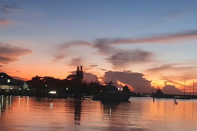 Private Tour in the Glistening Waters from Montego Bay - Captain style and why private matters on this kind of night tour