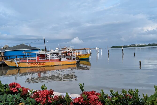 Private Tour in the Glistening Waters from Montego Bay - Weather and timing: when plans shift and how to stay calm