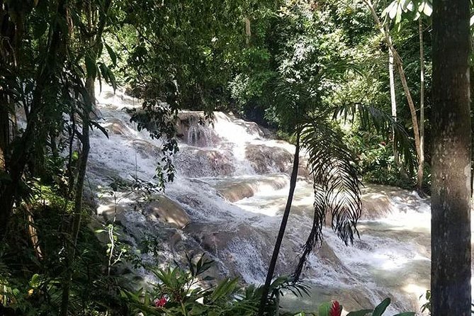 Private Tour Montego Bay To Blue Hole and Dunns River falls - What this private format does best (and where it might fall short)