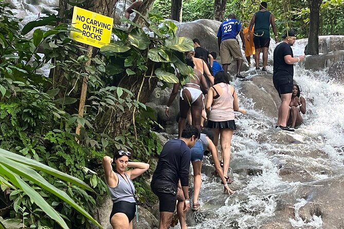 Private Tour To Blue Hole and Dunn’s River from Montego Bay - Dunn’s River Falls and Park: climb the falls, then cool off