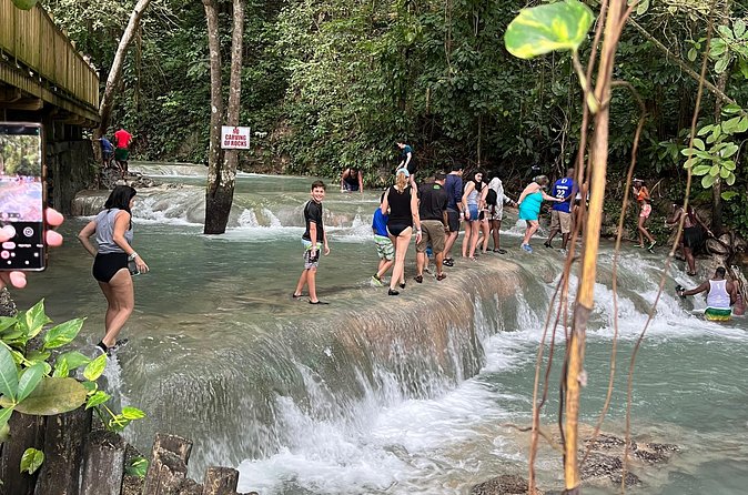 Private Tour To Blue Hole and Dunn’s River from Montego Bay - Who this tour is best for