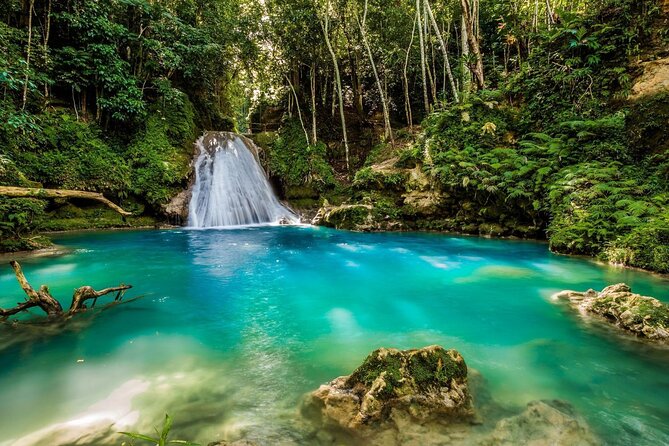 Private Tour To Blue Hole and Dunn’s River from Montego Bay - Should you book this private Dunn’s River and Blue Hole tour?