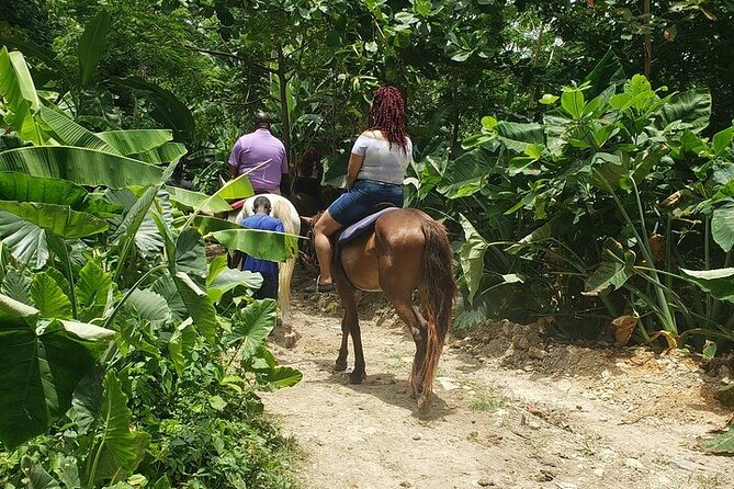 Private Tour to Dunns River and Horseback Riding with Local Guide - Waterfalls first: what Dunns River is like up close