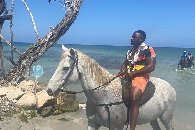 Private Tour to Dunns River and Horseback Riding with Local Guide - Guide impact: why Green (and Carado) can make or break the day