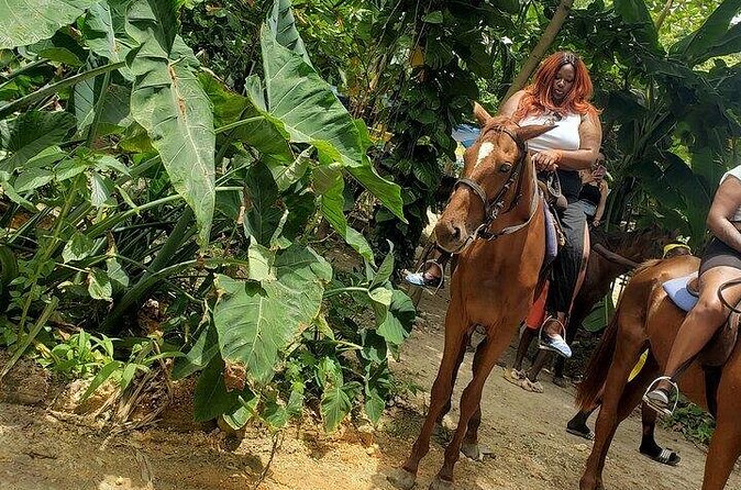 Private Tour to Dunns River and Horseback Riding with Local Guide - Who this tour suits best (and who should look elsewhere)
