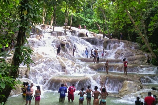 Private Tour to Dunns River and Horseback Riding with Local Guide - Private transportation from Montego Bay (and why it’s worth paying for)