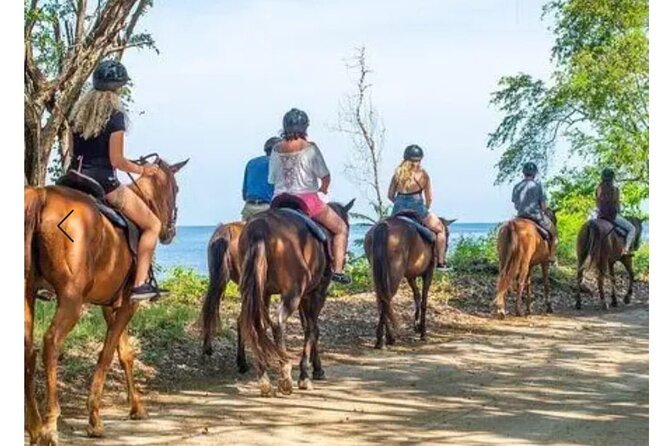 Private Transport and Airport Transfer in Montego Bay - Inside the Ride: Jamaica Orientation and Optional Quick Stops
