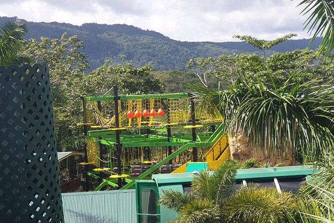 Private Transportation from Montego Bay to Mystic Mountain and Dunn's River Fall - Mystic Mountain: chairlift photos, wet-park thrills, and bird watching
