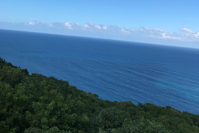 Private Transportation from Montego Bay to Mystic Mountain and Dunn's River Fall - Transportation value: what you’re paying for (and what you’re not)