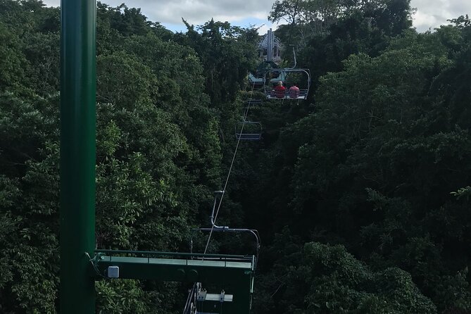 Private Transportation from Montego Bay to Mystic Mountain and Dunn's River Fall - Driver experience: the safety-and-help factor you’ll feel