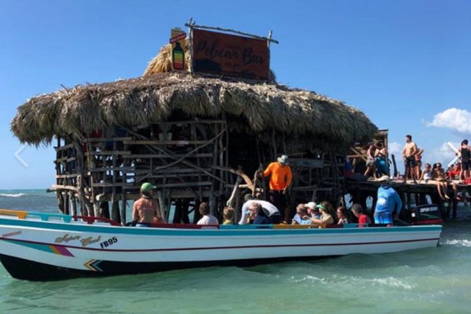 [PRIVATE] YS Falls, Black River, Pelican Bar - Entrance & Lunch - A South-Coast Day That Makes Sense From Montego Bay