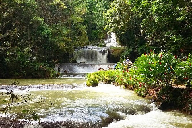 [PRIVATE] YS Falls, Black River, Pelican Bar - Entrance & Lunch - Timing That Keeps the Day Fun (Not Exhausting)