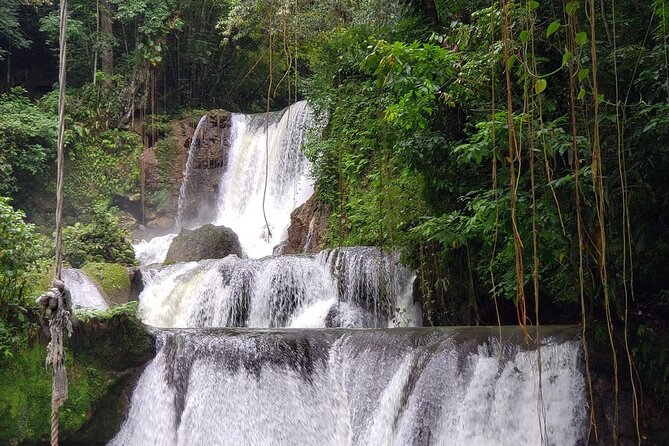 [PRIVATE] YS Falls, Black River, Pelican Bar - Entrance & Lunch - Price and Value: What You’re Actually Paying For
