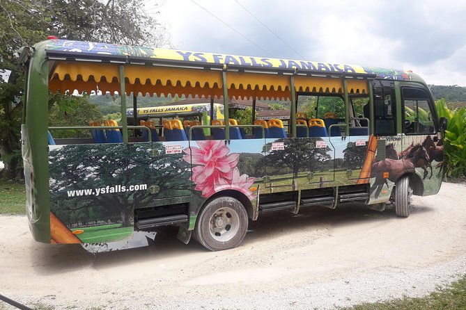 Private YS Falls Tour from Montego Bay - YS Falls on arrival: climbing, rope swings, pools, and shade